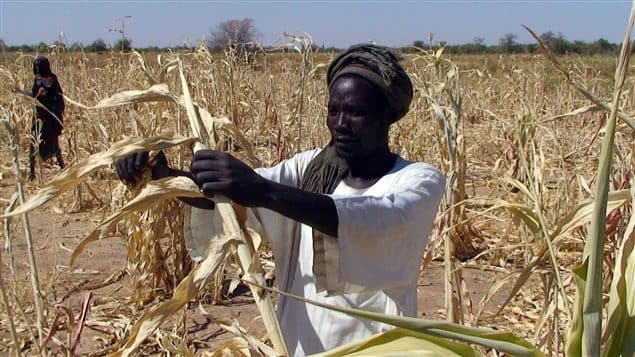 74ème AG de l’ONU: fervent plaidoyer en faveur de la coopération Sud-Sud pour la sécurité alimentaire en Afrique