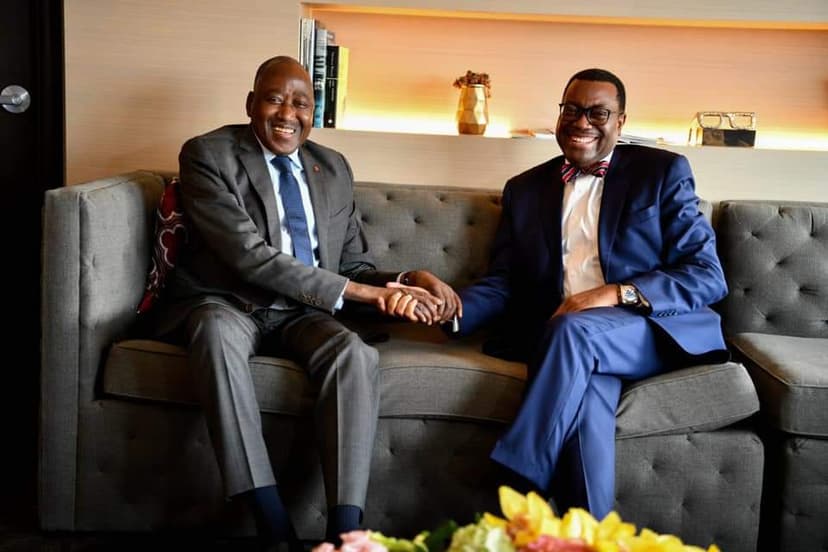 Côte d'Ivoire - BAD : Amadou Gon Coulibaly et Akinwumi Adesina discutent du Programme Social du Gouvernement