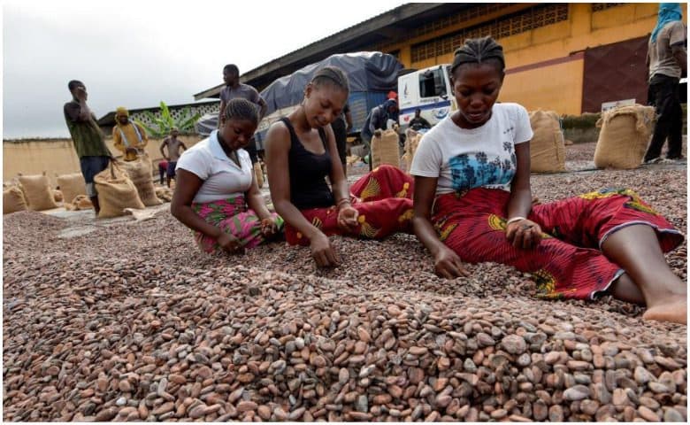 Côte d’Ivoire : ce que la douane américaine a découvert sur le travail des enfants