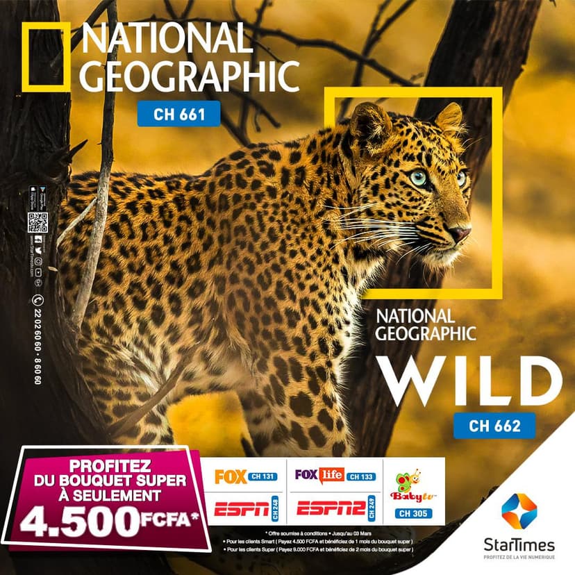 StarTimes enrichit ses bouquets avec une nouvelle série de chaînes.