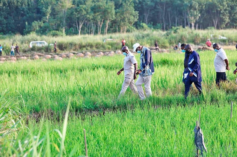 Autosuffisance en riz : le Ministère de la Promotion de la Riziculture et l’Office Chérifien des Phosphates signent un accord