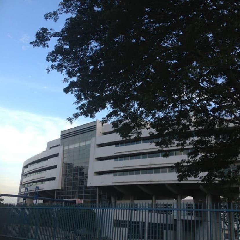 Grève à Bolloré : le départ de Tchinah Yaraye réclamé (Côte d'Ivoire)