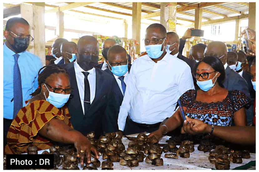 Lutte contre la vie chère en Côte d'Ivoire : une délégation ministérielle visite des commerçants et industriels
