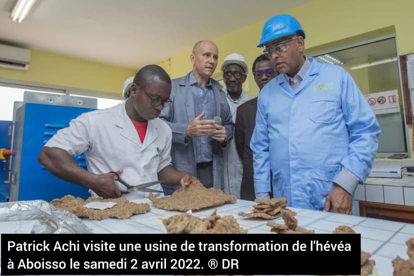 Côte d'Ivoire - agriculture : Patrick Achi lance le projet de chaînes de valeur compétitives pour l'emploi