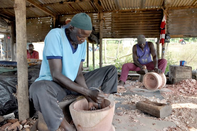Prévoyance sociale en Côte d'Ivoire : le gouvernement protège les travailleurs indépendants