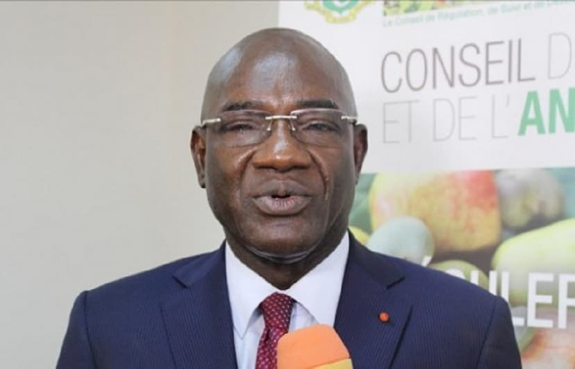 "L’anacarde reste un arbre écologique introduit en Côte d'Ivoire pour reboiser la savane" - Le Dg du CCA au Forum Afrique 2022 Cian/L’opinion