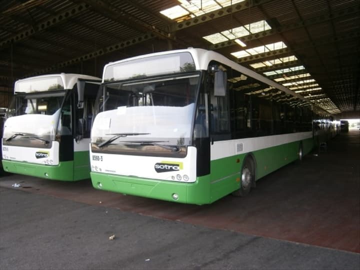 Côte d’Ivoire : un chauffeur de bus Sotra suspendu pour avoir grillé un feu rouge (sécurité routière)