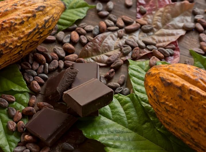 Cacao : les sociétés civiles de la Côte d'Ivoire et du Ghana soutiennent le boycott de la réunion de la World cocoa foundation