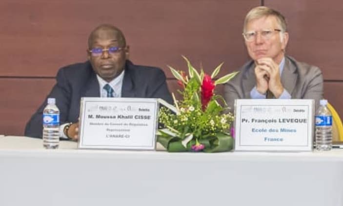 Des régulateurs du secteur de l'électricité en formation Badge RDE en Côte d'Ivoire