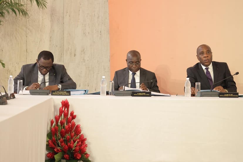 Côte d'Ivoire - Paru : des sites des quartiers de Bonoumin et de Synacasci déclarés d'utilité publique