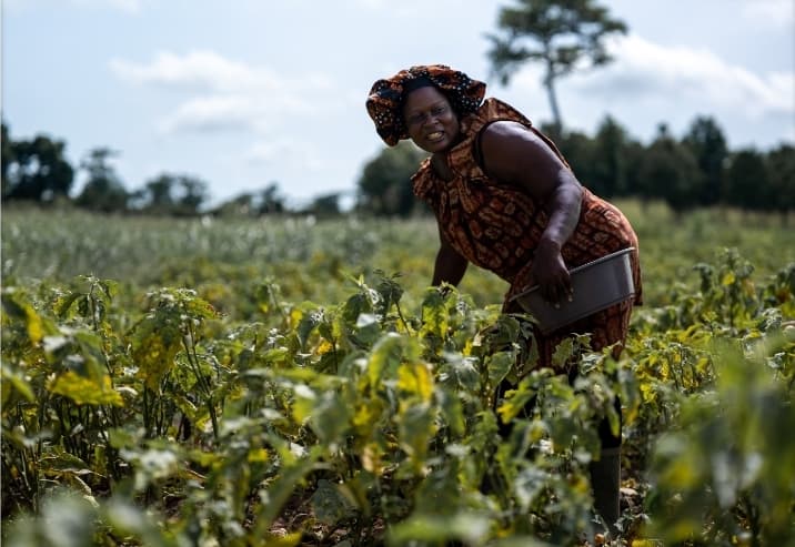 Côte d'Ivoire : la BAD approuve une garantie partielle de 400 millions d'euros pour la mobilisation d'emprunt durable