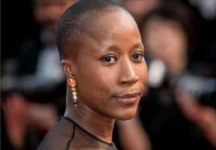 Rokia Traoré : Entre sa musique et ses projets, ce qu'elle dit de la situation politique au Sénégal et en Côte d'Ivoire