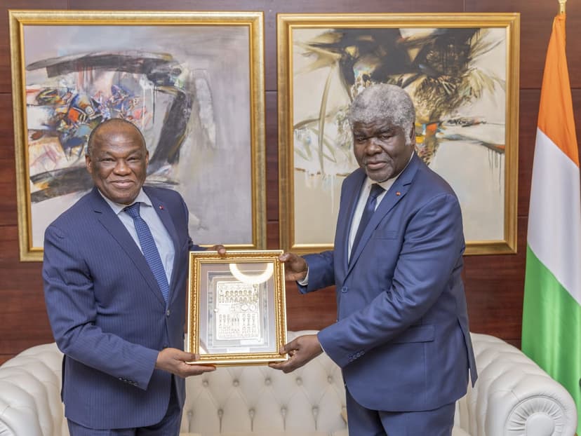 Côte d'Ivoire : l’OMS salue les progrès réalisés dans le domaine de la santé