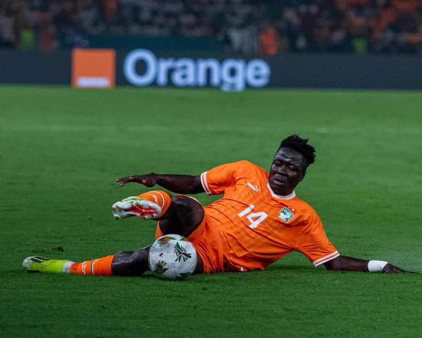 Les éléphants miraculés