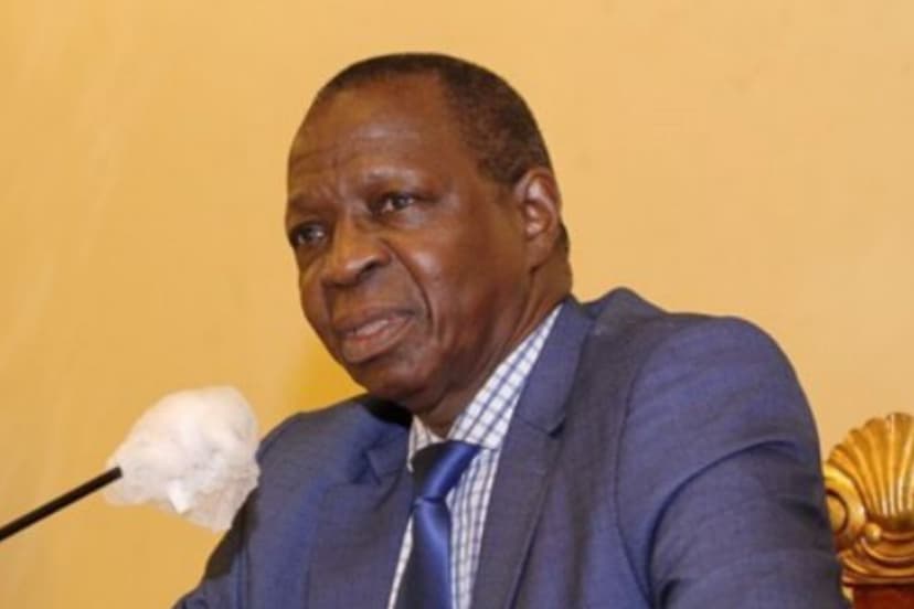 L’Imprimatur par Bamba Alex Souleymane - Il faut protéger les présidents africains