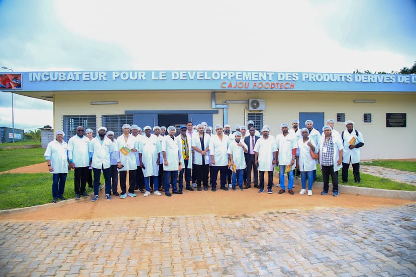 Forum sur l'investissement dans la filière anacarde en Côte d'Ivoire : les investisseurs visitent le Cita