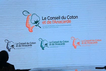 Communiqué - JNPCA : le Conseil du coton et de l'anacarde lance un appel à candidature