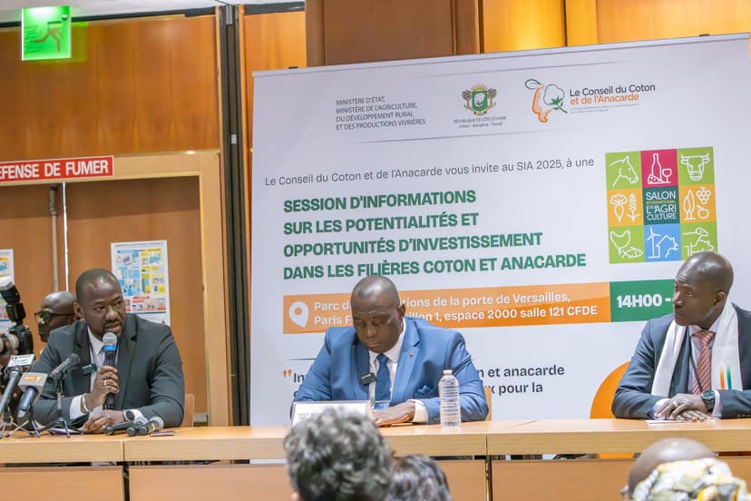 Coton et anacarde : Des opportunités en or pour la diaspora