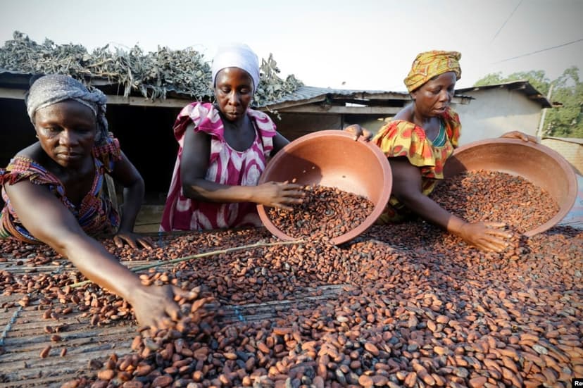 Nouvelles taxes américaines : une menace directe pour l’économie ivoirienne et le secteur cacao