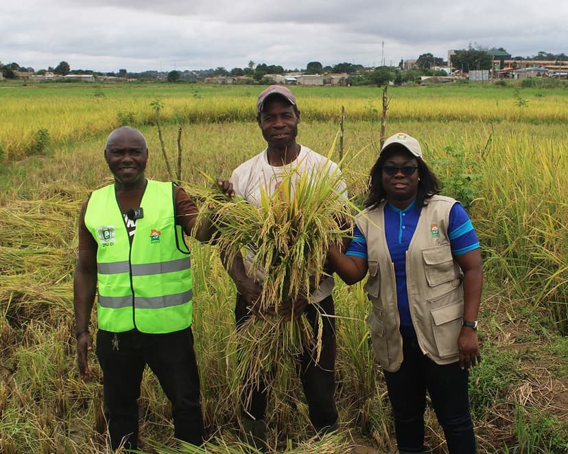 SARA 2025 : L’ANADER réaffirme son engagement pour la sécurité alimentaire en Côte d’Ivoire