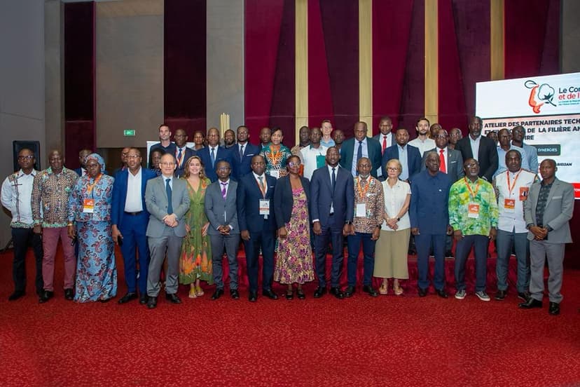 Filière anacarde : Coopération renforcée entre partenaires pour une transformation durable