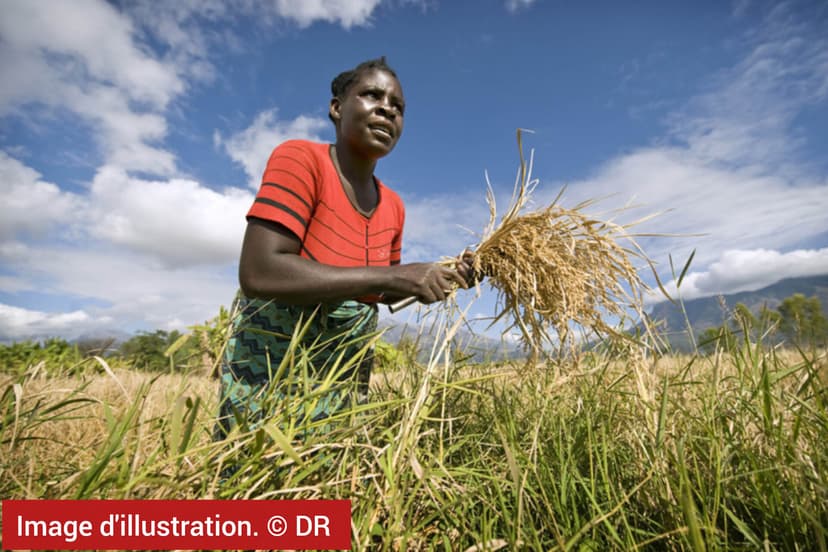 Chronique du lundi - la terre, l’eau, l’espace : enjeux strategiques pour une Afrique en marche